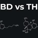 Porównanie CBD i THC z ich wzorami chemicznymi na ciemnym tle