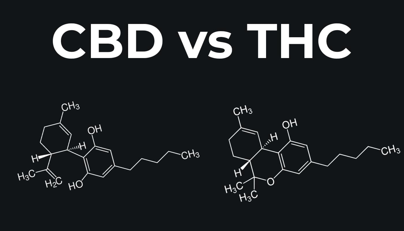 Porównanie CBD i THC z ich wzorami chemicznymi na ciemnym tle