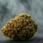 Susz marihuany w oparach pary, idealny do waporyzacji - jako przedstawienie poradnika "waporyzacja - poradnik dla początkujących"